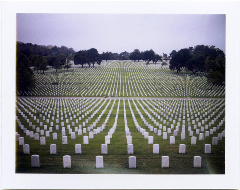 无人,横图,室外,白天,美国,一排,对称,丰富,整齐,地平线,历史,树,排列,墓地,摄影,队列,加利福尼亚,几何形状,彩图,圣布鲁诺