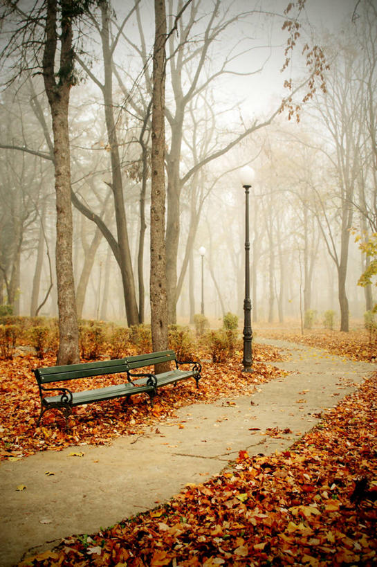 无人,公园,竖图,室外,白天,雾,路灯,叶子,椅子,罗马尼亚,长椅,小路,摄影,宁静,彩图