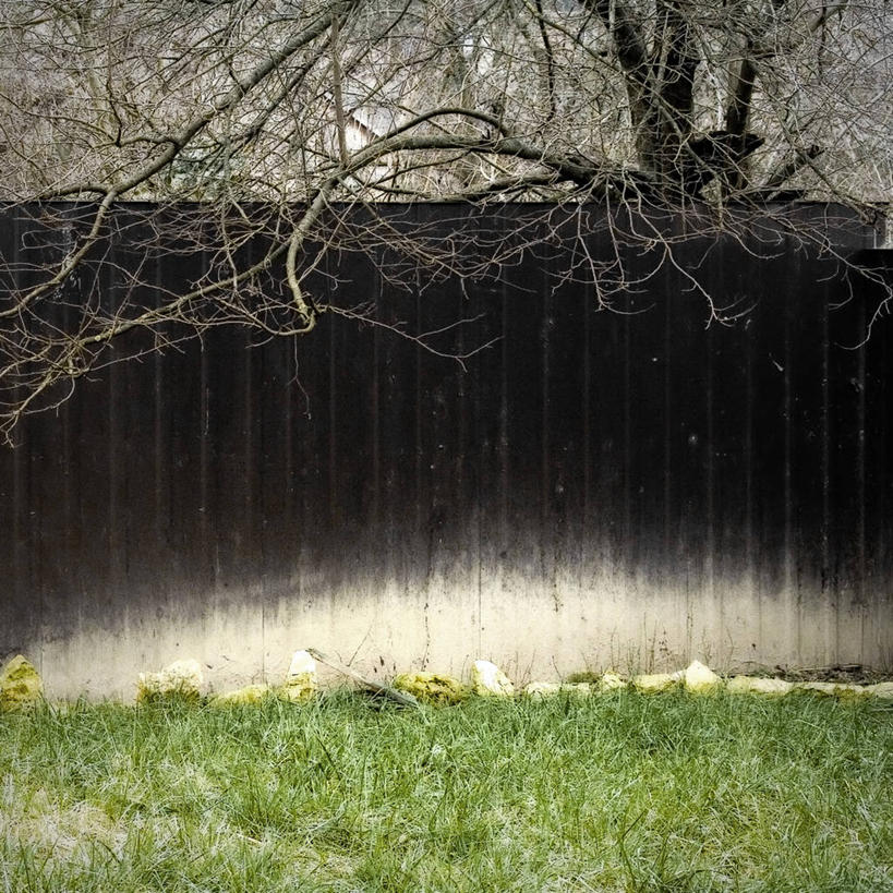 无人,方图,室外,白天,留白,草坪,罗马尼亚,分离,庭院,篱笆,枝,草,摄影,边界,后院,克卢日纳波卡,彩图