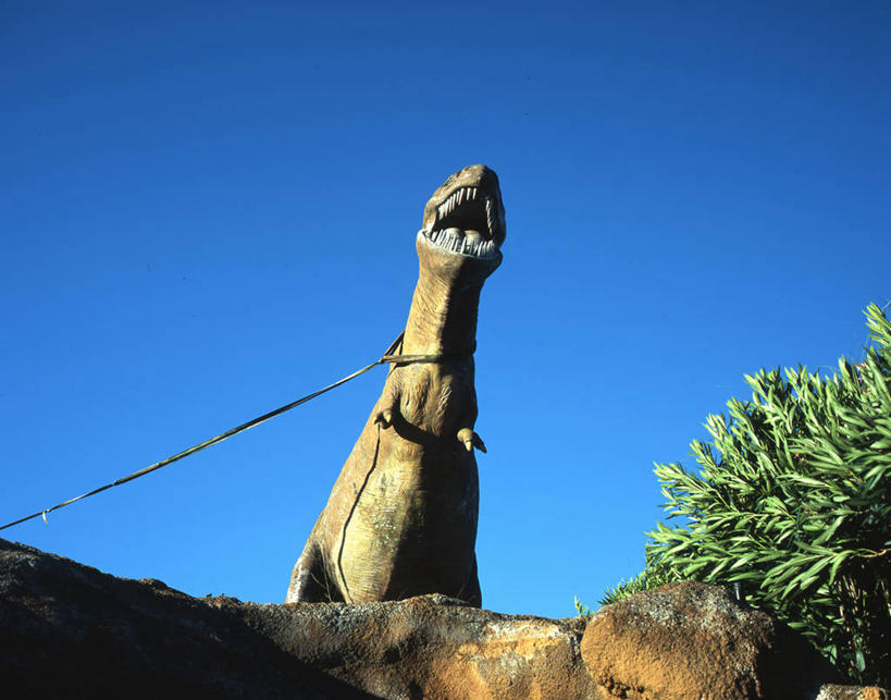 无人,横图,室外,白天,仰视,植物,法国,地形,绳子,张嘴,幻想,摄影,恐龙,张大嘴巴,张开嘴,彩图,低角度拍摄