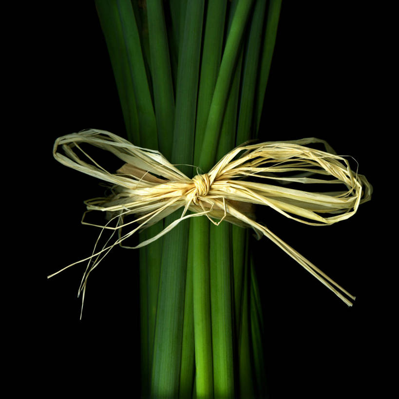 无人,方图,许多,黑色背景,稻草,茎,很多,捆,自然,摄影,清新,想法,彩图,影棚拍摄