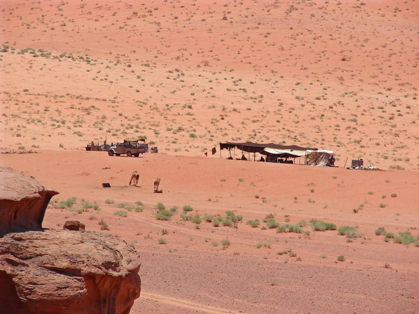 横图,室外,白天,沙漠,约旦,骆驼,动物,两只,运输,摄影,四驱车,彩图,游牧民族