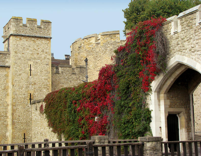 无人,横图,室外,白天,植物,建筑,英国,城堡,墙,塔,首都,历史,摄影,保护,英国文化,万里无云,彩图,地牢