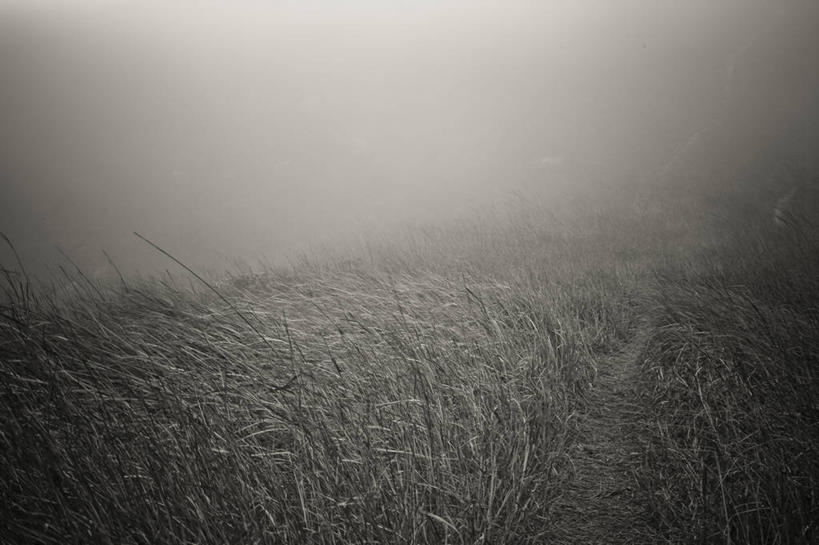 无人,横图,黑白,室外,白天,神秘,山,风,香港,地形,草,自然,摄影