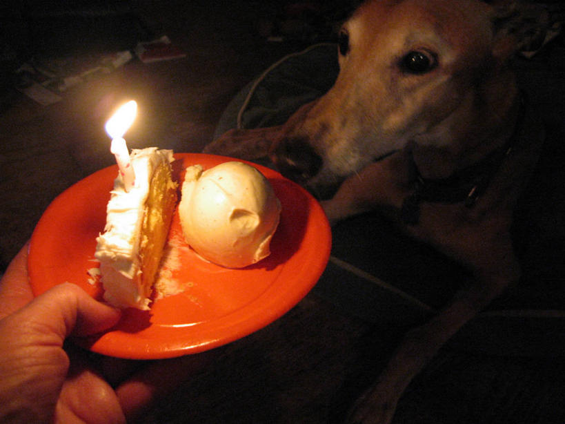 点心,面包,成年人,中年人,手,一个人,躺,横图,室内,生日,宠物,蜡烛,美国,仅一个男性,仅一个人,仅一个中年男性,切开,庆祝,烛光,食品,面点,拿着,吐司,食物,糕点,盘子,生日蛋糕,切,人体,摄影,法式面包,部分,庆贺,祝贺,出生,剖面,吐司面包,切面,德国猎犬,诞生,烛炬,男人,男性,中年男性,彩图,多士,听型面包,份量