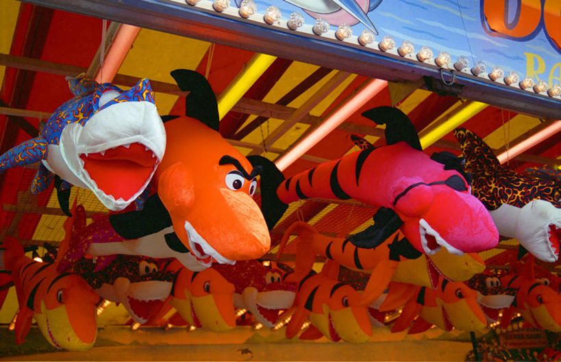 无人,游乐园,横图,室外,白天,游戏,鲨鱼,玩具,英国,许多,吊挂,悬挂,鱼,很多,挂,玩,娱乐,鱼类,海洋生物,休闲,零售,益智,摄影,毛绒玩具,多样,活动,发泄,消遣,智力,水生动物,水生物,凶猛,海底动物,宣泄,残暴,凶残,沙鱼,鲛鲨,玩耍,嬉戏,彩图,鲛,布赖顿