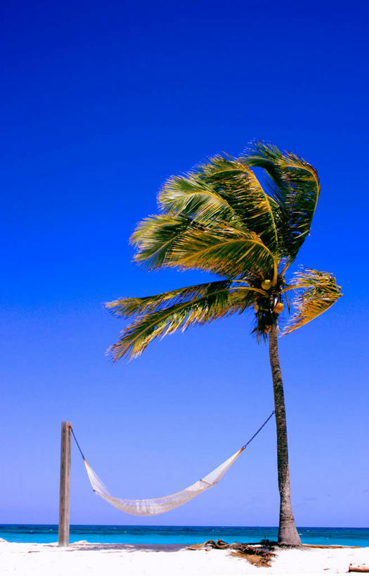 无人,竖图,室外,白天,海洋,风,吊床,棕榈树,吊挂,悬挂,沙子,水平线,挂,自然,放松,摄影,宁静,万里无云,海滩,彩图,巴哈马群岛,卡特岛