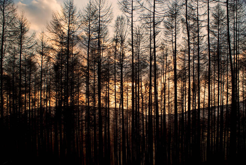 无人,横图,室外,美景,日落,森林,地形,景观,旷野,风景,自然,景色,摄影,宁静,自然风光,北约克郡,秋天,彩图