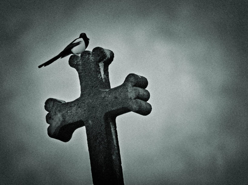 无人,横图,黑白,室外,白天,多云,十字形,十字架,云,首都,摄影,宗教,栖息,死亡,捷克共和国,布拉格,独处