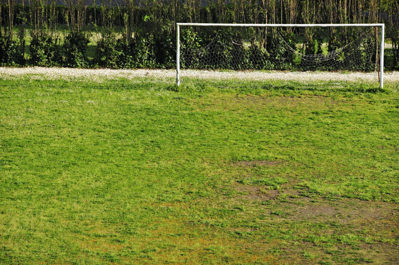 无人,足球场,横图,室外,白天,草原,进球,草皮,摄影,灌木,足球运动,彩图