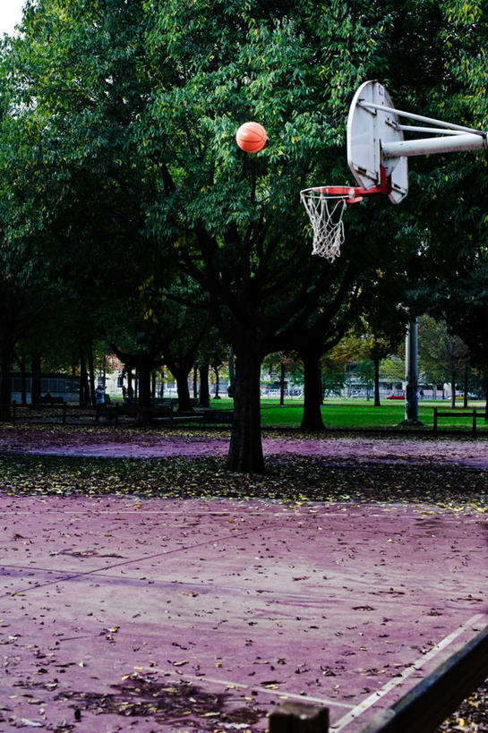 无人,公园,竖图,室外,白天,游乐场,叶子,意大利,篮球框,半空,飞,树,摄影,米兰,彩图