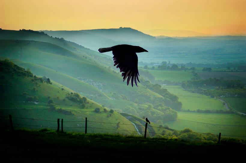 无人,横图,室外,侧面,自由,日落,山,野生动物,英国,中国,亚洲,篱笆,田地,半空,飞,云南,风景,摄影,宁静,剪影,东亚,云南省,中华人民共和国,西南地区,滇,文山,文山州,文山壮族苗族自治州,彩图,丘北县,南丘村
