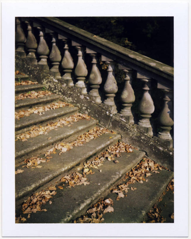 无人,竖图,室外,夜晚,楼梯,建筑,叶子,摄影,部分,边界,波茨坦,秋天,彩图