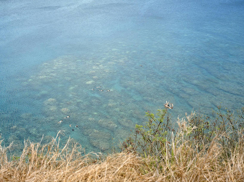 横图,俯视,室外,白天,美国,透明,水面,悬崖,草,风景,摄影,宁静,夏威夷群岛,浮潜,太平洋岛屿,潟湖,彩图,高角度拍摄,毛伊岛