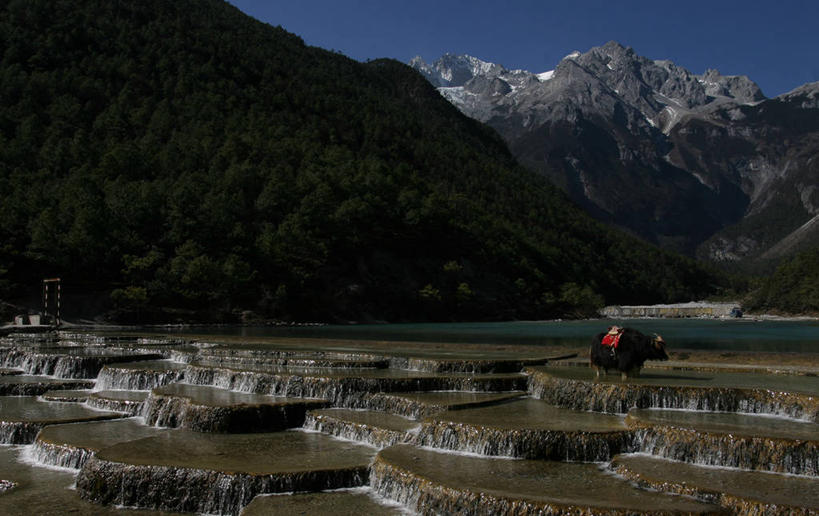 无人,横图,室外,白天,河流,瀑布,山脉,涉水,地形,树荫,风景,家畜,摄影,云南省,牦牛,彩图