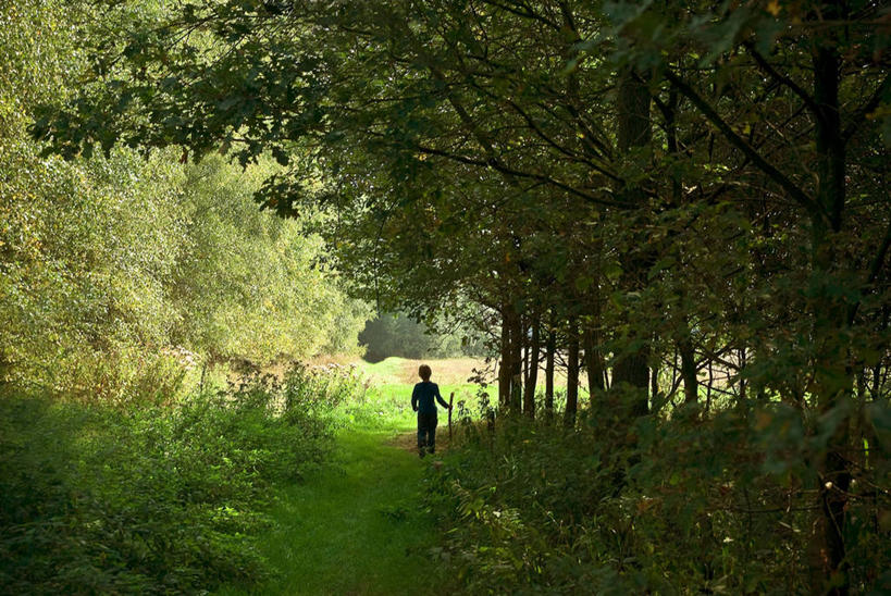 儿童,一个人,站,横图,室外,白天,纯洁,树林,荷兰,仅一个男性,仅一个人,小路,小孩,自然,夏天,仅一个小孩,可爱,童年,童趣,摄影,剪影,童真,烂漫,无邪,天真,男孩,男人,男性,孩子,彩图,男生,独处,海尔德兰