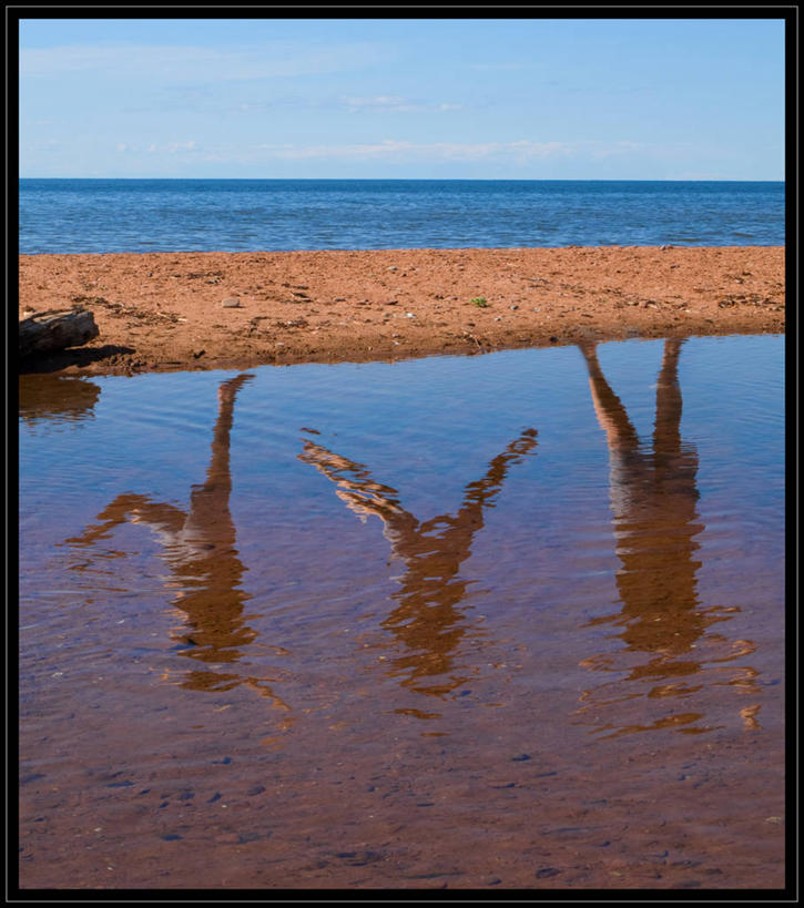 无人,跳,竖图,室外,白天,旅游,度假,美景,反射,沙子,景观,水平线,半空,娱乐,自然,船尾波,享受,休闲,景色,放松,摄影,自然风光,爱德华王子岛,无忧无虑,死水,海滩,彩图