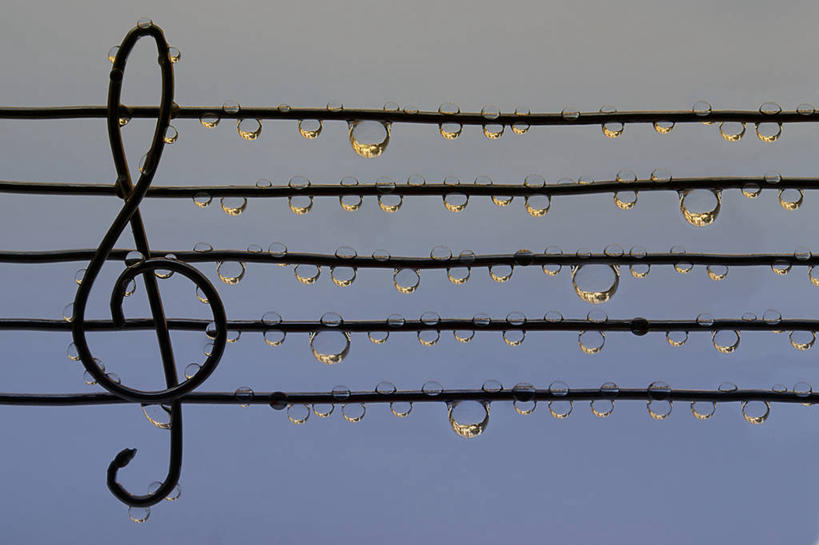 无人,横图,室外,白天,雨,水滴,五线谱,天气,音乐,黑色,摄影,创造力,高音谱号,彩图,贝尔格雷德