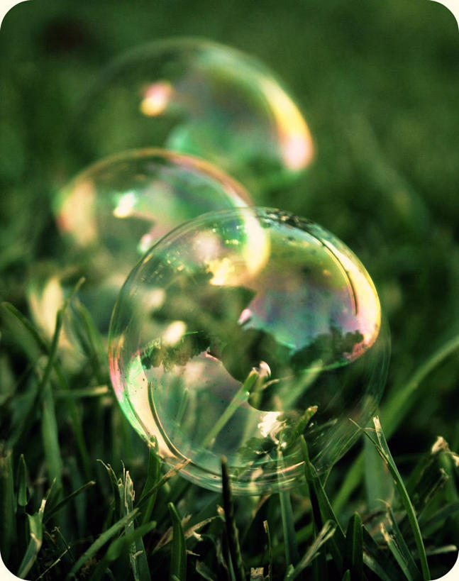 无人,竖图,室外,特写,白天,自然,泡泡,摄影,脆弱,塔拉哈西,彩图