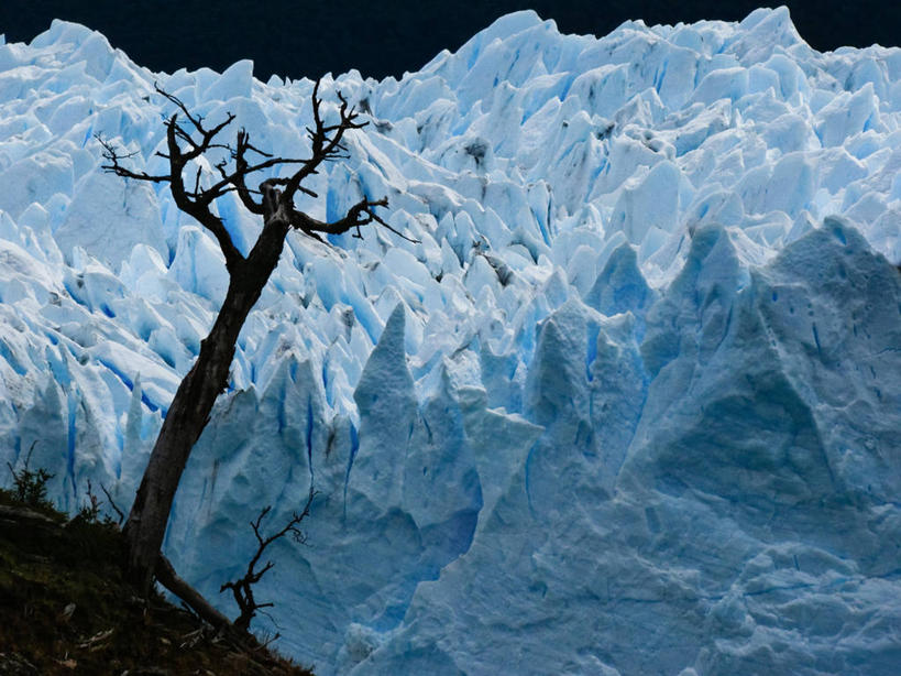 无人,横图,室外,白天,美景,雪山,景观,山顶,霜,蓝色,风景,自然,景色,寒冷,摄影,宁静,自然风光,莫雷诺冰川,彩图