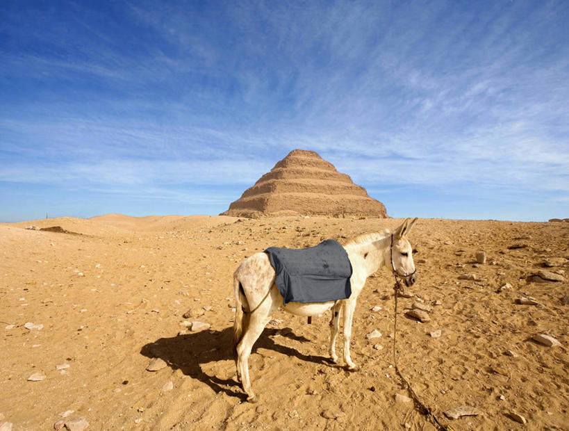 无人,横图,室外,白天,侧面,沙子,地平线,辽阔,地面,广阔,金字塔,摄影,牲畜,一望无际,中东,延伸,萨卡拉,天地相交,驴子,无边无际,一马平川,古埃及文明,古代文明,彩图