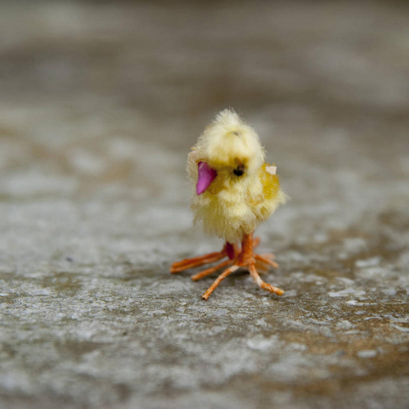 无人,方图,室外,白天,玩具,荷兰,复活节,鸟类,一个,动物,摄影,单个,脆弱,彩图,小鸡