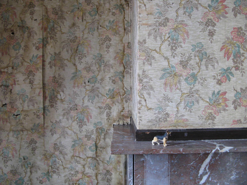 无人,横图,室内,白天,游戏,壁炉,壁纸,玩具,荷兰,废弃,花纹,小的,玩,破坏,娱乐,破损,取暖,休闲,益智,摄影,活动,报废,损坏,废物,发泄,消遣,智力,丢弃,放弃,抛弃,宣泄,摈弃,玩耍,嬉戏,彩图,取暖设备,屏弃,摈斥,摒除,掉色