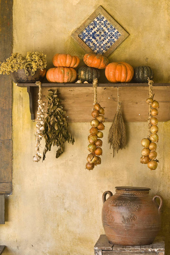 无人,农场,竖图,室内,室外,白天,南瓜,洋葱,巴西,串,锅,万圣节,南美,摄影,多样,南美洲,拉丁美洲,美洲,巴西联邦共和国,亚美利加洲,南亚美利加洲,南大河州,南里奥格兰德州,彩图,传统文化