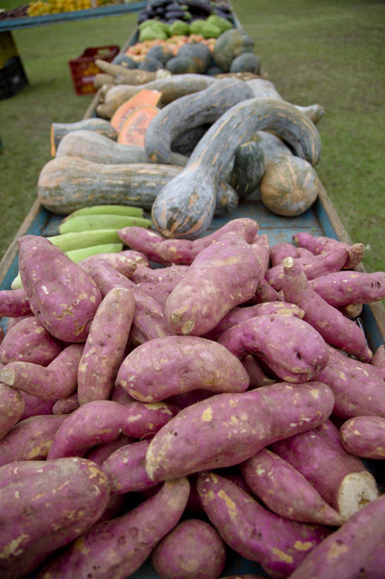 无人,竖图,室外,白天,蔬菜,巴西,许多,很多,饮食,摄影,多样,清新,健康食物,甘薯,彩图