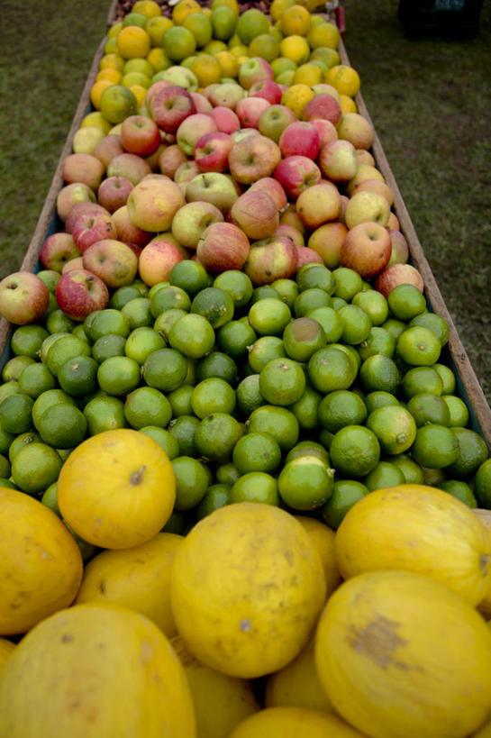 无人,竖图,室外,白天,苹果,水果,巴西,许多,丰富,很多,饮食,摄影,多样,清新,柑橘属,健康食物,彩图