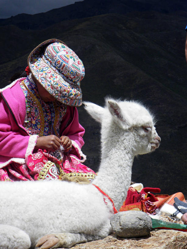 儿童,一个人,学生,竖图,室外,白天,纯洁,帽子,刺绣,秘鲁,仅一个女性,仅一个人,头饰,注视,小孩,动物,观察,看,仅一个小孩,南美,可爱,童年,童趣,摄影,流苏,生活方式,观看,缝纫,察看,拉丁美洲,学士帽,毕业,关注,羊驼,学士服,童真,烂漫,无邪,垂布,学士袍,安地斯山脉,天真,女孩,女人,女性,孩子,外衣,彩图,传统服装,风帽,女生,传统文化,秘鲁人,脊椎动物亚门