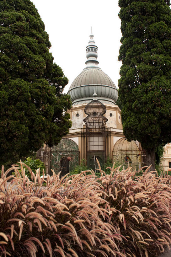 动物园,竖图,室外,白天,植物,城市,建筑,阿根廷,鸟笼,首都,树,南美,摄影,拉丁美洲,圆顶建筑,布宜诺斯艾利斯,彩图