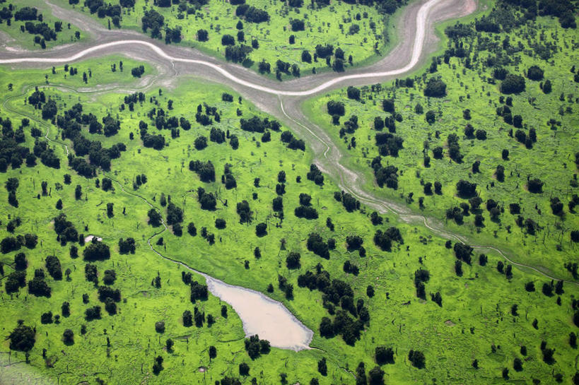 无人,横图,俯视,航拍,室外,白天,旅游,度假,重复,美景,巴西,亚马逊河,许多,环保,地形,河道,景观,天气,很多,娱乐,草,绿色,风景,自然,享受,休闲,景色,南美,放松,摄影,能源,宁静,环境,回收,资源,干旱,拉丁美洲,鸟瞰,自然风光,热带雨林,树梢,利用,低碳,循环,持续,自然地理,彩图,高角度拍摄,广角拍摄