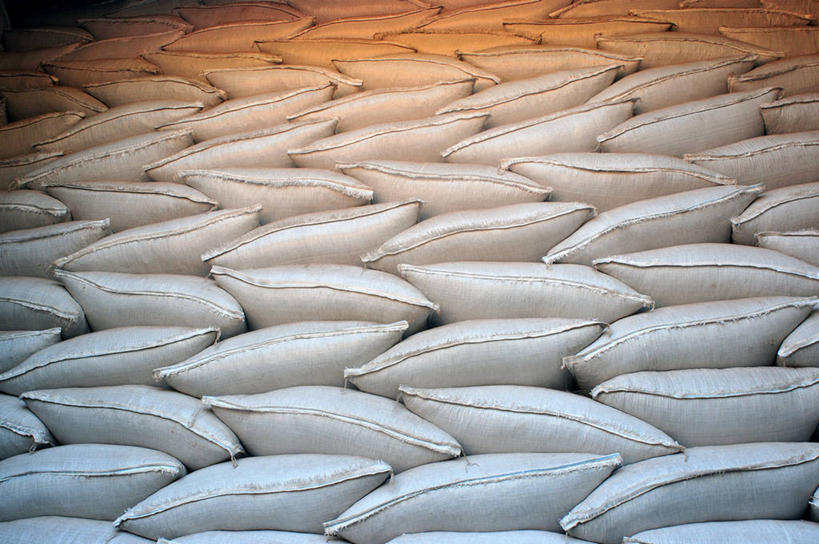 无人,农场,横图,俯视,农业,农作物,阿根廷,许多,堆叠,丰富,包,很多,南美,摄影,收获,宁静,拉丁美洲,马黛茶,彩图,高角度拍摄,全画面,全框架,全帧,全画幅,科连特斯省