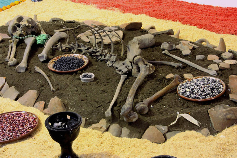 骨骼,无人,横图,俯视,墨西哥,许多,庆祝,人头骨,沙子,骨头,首都,很多,杯,盘子,人体,摄影,怪异,死亡,骨架,北美,北美洲,拉丁美洲,美洲,墨西哥城,霍奇米尔科,结束,北亚美利加洲,亚美利加洲,墨西哥合众国,仙人掌王国,墨西哥文化,美术工艺,彩图,高角度拍摄,死亡节,传统文化,法定假日