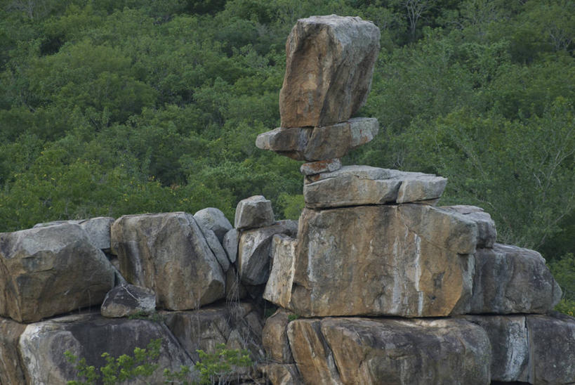 无人,横图,室外,白天,巴西,历史,南美,摄影,灌木,宁静,拉丁美洲,水虎鱼,阿拉戈斯,巴西文化,彩图