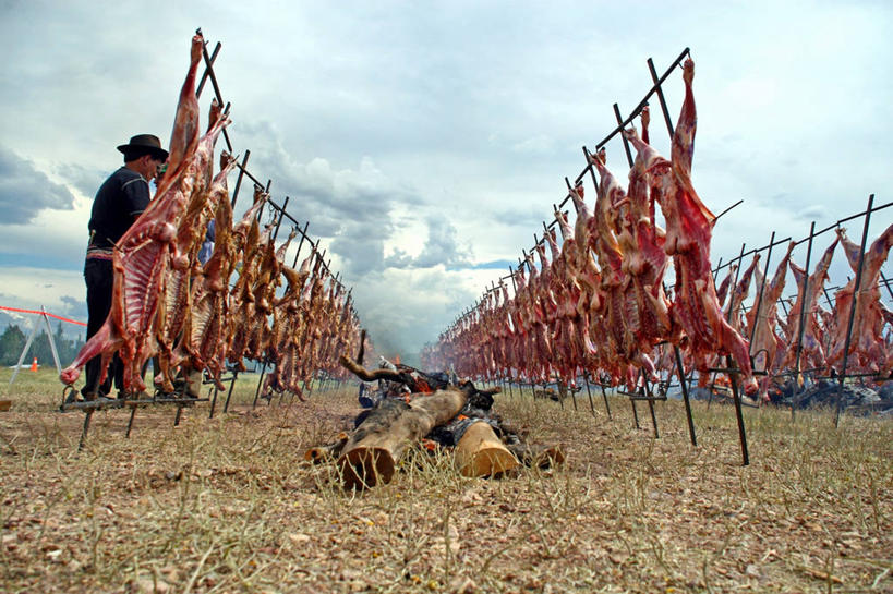 成年人,中年人,肋骨,一个人,横图,室外,阿根廷,仅一个男性,仅一个人,仅一个中年男性,脆,废弃,准备,丰富,十字架,田地,食品,饮食,木桩,摄影,清新,销毁,矿物质,门多萨,烧毁,男人,男性,中年男性,烹调,彩图