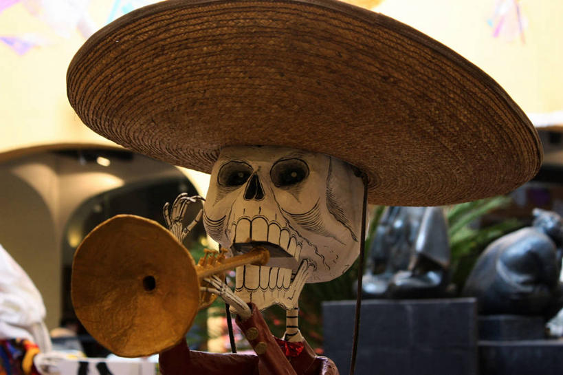 骨骼,无人,横图,特写,墨西哥,表演,庆祝,草帽,人头骨,乐器,小号,骨头,首都,音乐,人体,摄影,怪异,死亡,骨架,北美,北美洲,拉丁美洲,美洲,墨西哥城,霍奇米尔科,结束,北亚美利加洲,亚美利加洲,墨西哥合众国,仙人掌王国,墨西哥文化,美术工艺,彩图,传统服装,死亡节,传统文化,法定假日