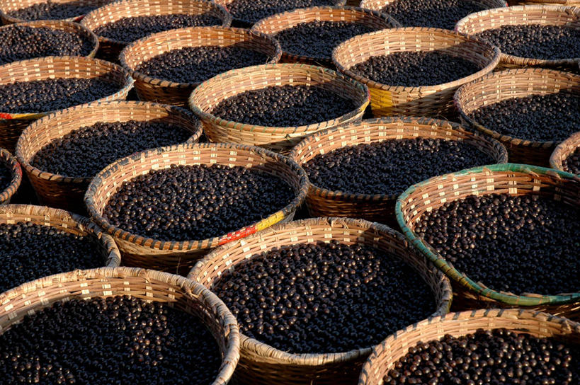 无人,横图,俯视,重复,水果,巴西,许多,丰富,篮子,稻草,很多,饮食,南美,摄影,收获,南美洲,拉丁美洲,清新,美洲,巴西联邦共和国,亚美利加洲,南亚美利加洲,帕拉,帕拉州,巴西莓,巴西文化,彩图,高角度拍摄,传统文化