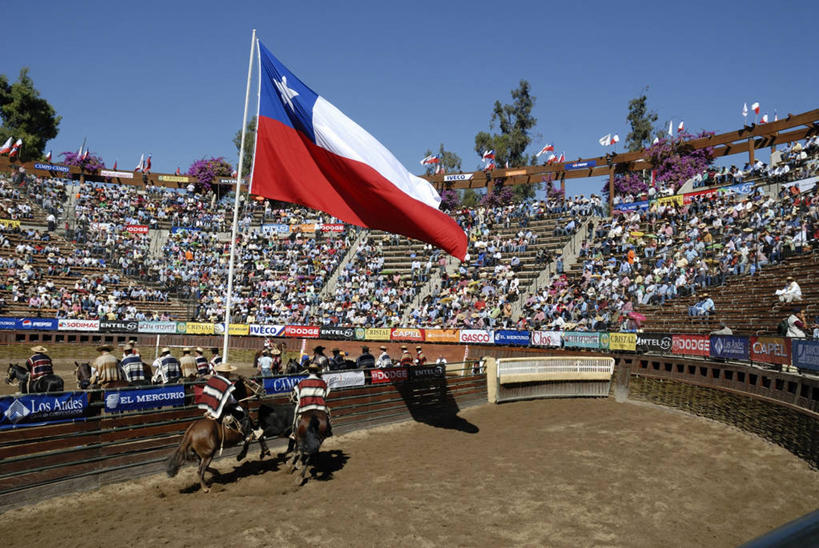 横图,锻炼,快乐,比赛,运动,竞争,马,旗帜,智利,娱乐,布置,斗牛场,动物,两只,休闲,摄影,体育运动,体育,彩图,健身,智利国旗,传统文化,马上枪术比赛