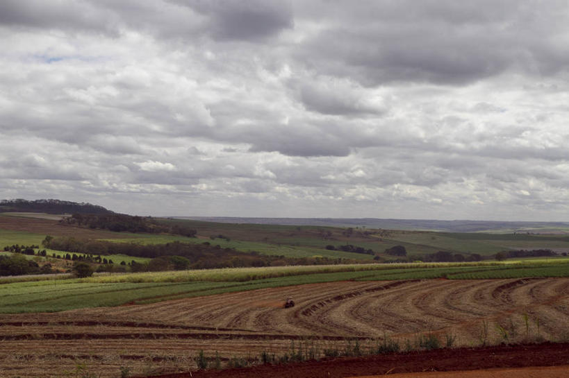 无人,横图,俯视,航拍,室外,白天,雨,多云,巴西,地形,田地,云,风景,摄影,鸟瞰,拖拉机,种植园,圣保罗,彩图,高角度拍摄