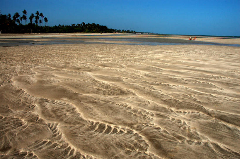 皱纹,无人,横图,室外,白天,旅游,度假,海洋,美景,水,风,巴西,风力,沙子,地形,景观,沙丘,娱乐,树,风景,天空,自然,享受,休闲,景色,南美,放松,摄影,宁静,环境,自然风光,替代能源,万里无云,阿拉戈斯,马塞约,式样,海滩,彩图,旅行