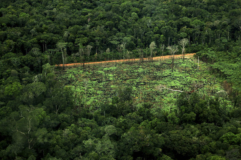 无人,横图,室外,白天,环保,树,绿色,自然,工业,摄影,能源,环境,回收,资源,热带雨林,利用,低碳,循环,持续,彩图,亚马逊雨林