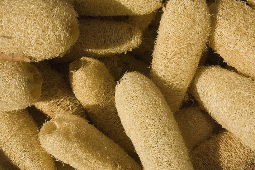 无人,横图,室外,白天,背景,消费,巴西,许多,丰富,市场,很多,南美,零售,摄影,贩卖,彩图,全画面,全框架,全帧,浴用海绵,全画幅