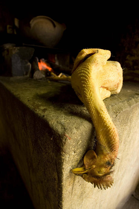 无人,竖图,室内,白天,厨房,鸡,巴西,饮食,家禽,南美,摄影,死亡,结束,彩图