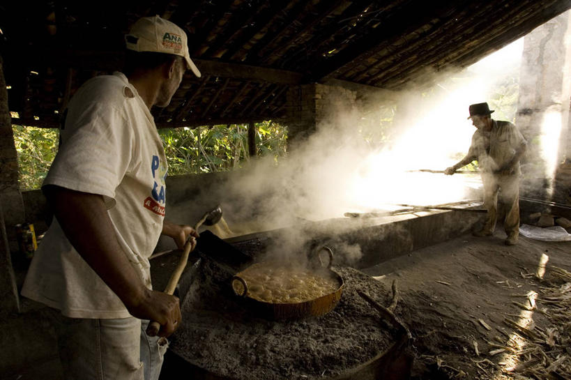 成年人,两个人,站,横图,白天,合作,团队,帽子,巴西,准备,工作,蒸汽,拿着,休闲装,衣服,鸭舌帽,南美,工业,摄影,混合,搅动,巴西文化,男人,半身,彩图