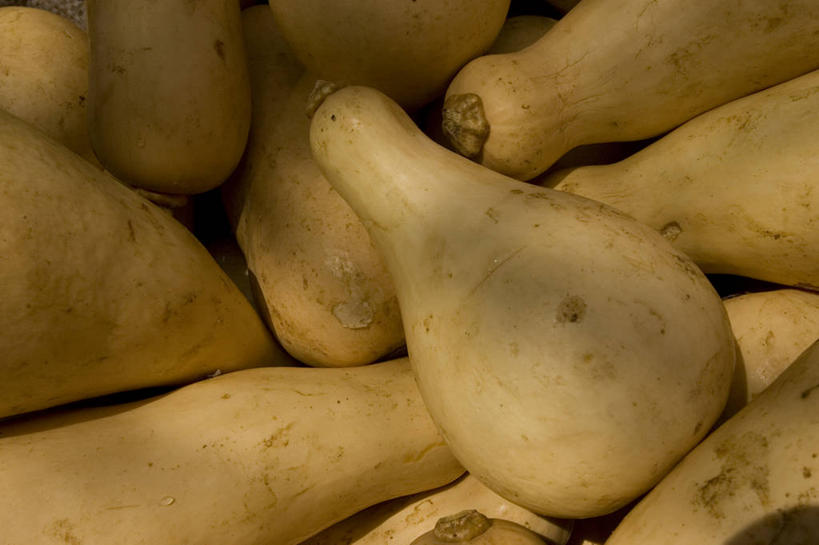 无人,横图,室外,背景,消费,巴西,葫芦,市场,饮食,南美,零售,摄影,清新,彩图,全画面,全框架,全帧,全画幅