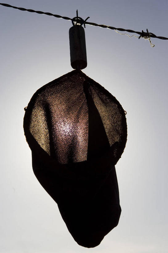 无人,家庭,竖图,室外,白天,巴西,吊挂,悬挂,木制,挂,天空,温暖,温馨,一家人,南美,摄影,和睦,金属丝,简单,万里无云,米纳斯吉拉斯州,咖啡滤纸,美术工艺,烘干,彩图,融洽,家务劳动,带刺铁丝网