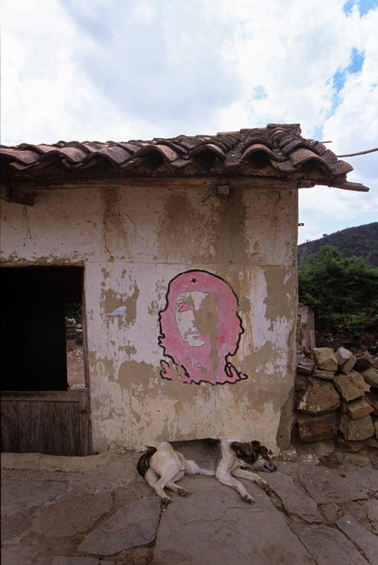 无人,医生,竖图,室外,白天,建筑,宠物,狗,玻利维亚,云,天空,动物,家畜,南美,摄影,死亡,结束,政治家,作家,革命家,切.格瓦拉,埃内斯托.格瓦拉,彩图,格瓦拉