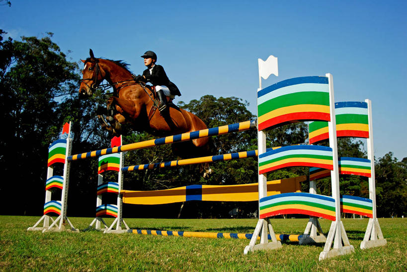 成年人,一个人,坐,跳,横图,室外,运动服,运动鞋,竞争,建筑,马,阿根廷,仅一个男性,仅一个人,骑马,灯笼,首都,半空,拿着,草,树,仅一个年轻男性,骑,衣服,绿色,天空,自然,动物,看,骑车,家畜,南美,摄影,食草动物,动作,环境,敏捷,照明设备,马靴,偶蹄目,布宜诺斯艾利斯,式样,技能,跨栏,男人,男性,年轻男性,年轻人,彩图,旅行,策骑者,骑师,赛马骑师,居住区,名声